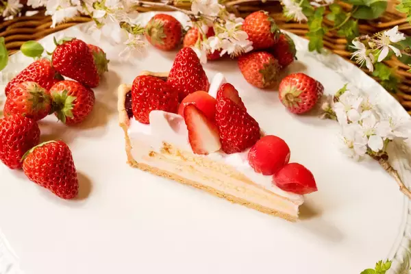 「【キル フェ ボン】＜フェア開催のお知らせ＞ブランド初、全店で「SAKURAフェア」を開催！ひと足早い春の陽だまりを、桜の季節に寄り添うタルトにのせて」の画像