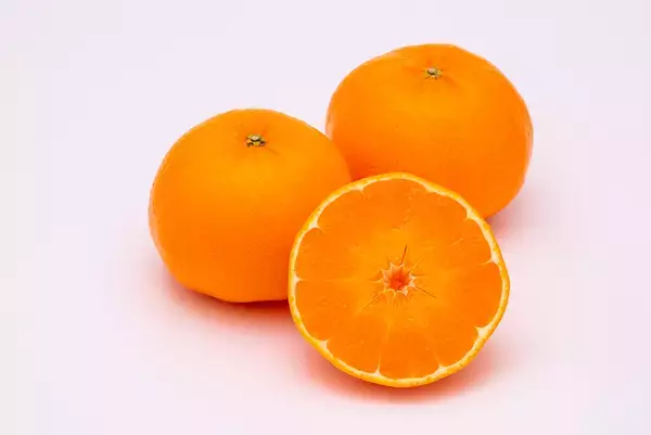 「【キル フェ ボン】佐賀県が20年以上の歳月をかけて開発したブランド柑橘“にじゅうまる”が主役！味も見た目もまさに“にじゅうまる”のタルト」の画像