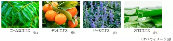 「ご好評につき「ザ  マイトル  薬用マスク  ドライレスキュー」再限定発売！」の画像