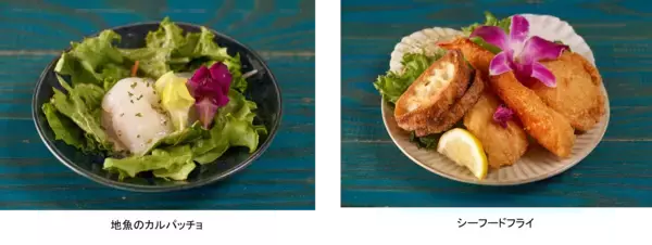 「レストラン列車「丹後くろまつ号」 2026年春夏コース販売開始～「古代の美食」「名所を味わうランチ」「トレインバル」で丹後の魅力を再発見する全3コースをご提供～」の画像