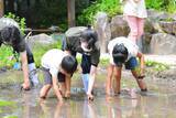 「【京都水族館】絶滅の恐れのあるいきものを知って守る京都薬用植物園との協働 希少な魚と植物を相互展示」の画像2
