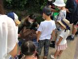 「【京都水族館】絶滅の恐れのあるいきものを知って守る京都薬用植物園との協働 希少な魚と植物を相互展示」の画像4
