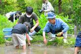 「【京都水族館】絶滅の恐れのあるいきものを知って守る京都薬用植物園との協働 希少な魚と植物を相互展示」の画像5