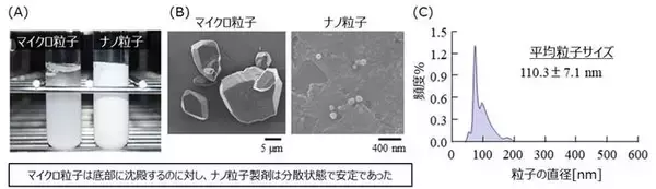 「ナノ化ミノキシジルによる早い発毛効果とそのメカニズムを解明」の画像