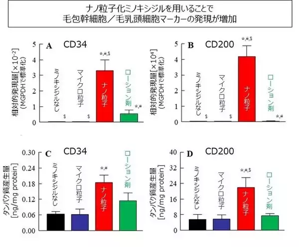 「ナノ化ミノキシジルによる早い発毛効果とそのメカニズムを解明」の画像