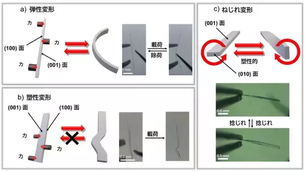 「【山梨大学・立教大学】光を当てると柔軟性が変わり、傷も消える結晶を開発～自己修復する有機結晶の開発に成功～」の画像