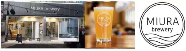 「「三浦海岸ビールまつり」を開催！」の画像