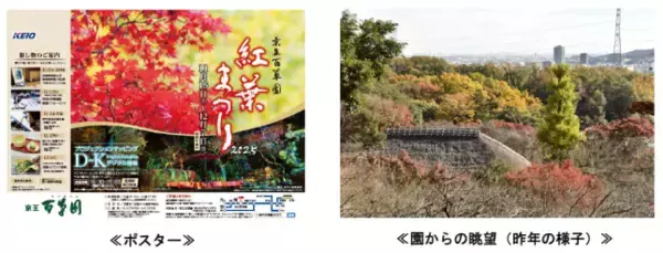 「京王百草園(もぐさえん)で恒例の「紅葉まつり」を開催します！」の画像