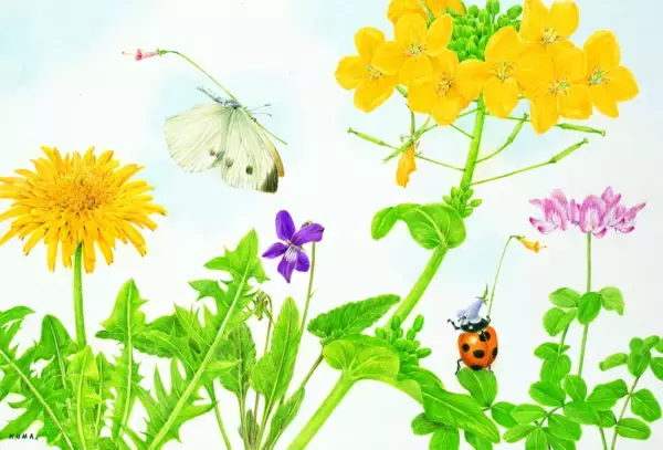 「熊田千佳慕の世界　～愛するからこそ美しい～　群馬県立館林美術館で開催」の画像