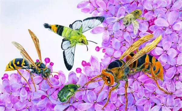 「熊田千佳慕の世界　～愛するからこそ美しい～　群馬県立館林美術館で開催」の画像