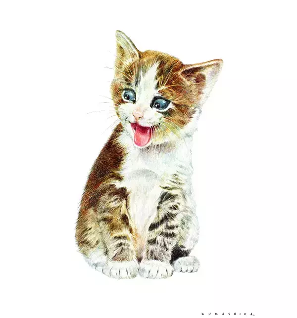 「熊田千佳慕の世界　～愛するからこそ美しい～　群馬県立館林美術館で開催」の画像