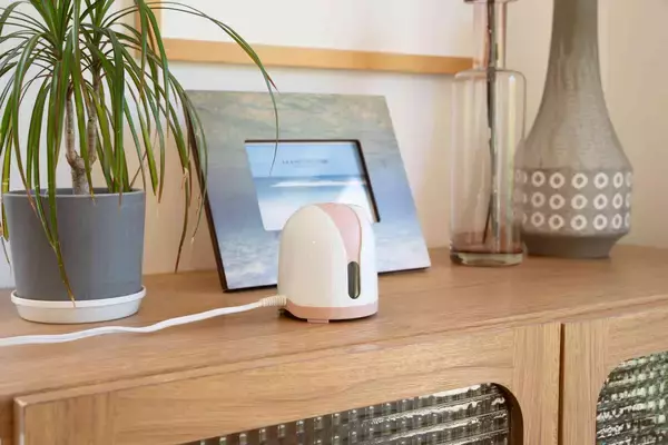 「ロングセラーの蚊とり『アースノーマット』をリニューアル！　蚊の駆除・侵入防止の効果がわかりやすいパッケージに一新　新色の『ホワイトピンク』が登場！」の画像