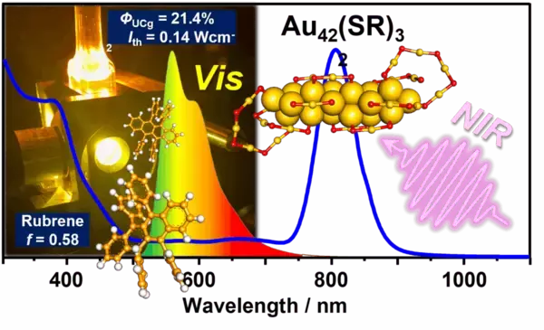 【立教大学】金量子ニードルで近赤外光を高輝度な可視光へ変換することに成功～ルブレン発光体の潜在能力を全開放し、世界最高効率と低閾強度を達成～