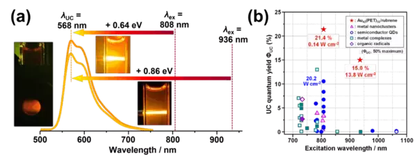 「【立教大学】金量子ニードルで近赤外光を高輝度な可視光へ変換することに成功～ルブレン発光体の潜在能力を全開放し、世界最高効率と低閾強度を達成～」の画像