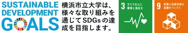 「【横浜市立大学】マウス多能性幹細胞から精巣組織の再構築に成功」の画像
