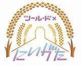 「黄金色に輝く稲穂の中を自転車で駆け抜ける！イベント「ツール・ド×にいがた」開催中」の画像1