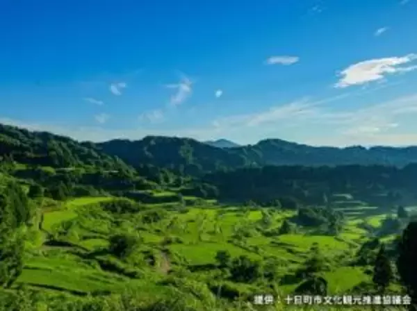 「黄金色に輝く稲穂の中を自転車で駆け抜ける！イベント「ツール・ド×にいがた」開催中」の画像