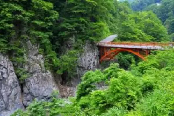「黄金色に輝く稲穂の中を自転車で駆け抜ける！イベント「ツール・ド×にいがた」開催中」の画像