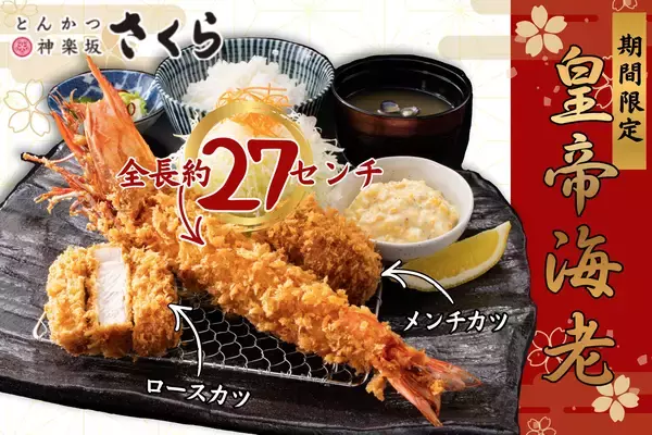 【とんかつ神楽坂さくら】圧巻の存在感を放つ「皇帝海老」降臨。～年末年始にふさわしい、格別のご褒美を～