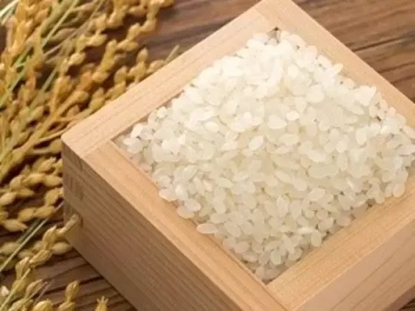 「【とんかつ神楽坂さくら】圧巻の存在感を放つ「皇帝海老」降臨。～年末年始にふさわしい、格別のご褒美を～」の画像