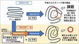「【名城大学】＜世界初＞タンパク質構造決定を劇的に加速させる「ROCKET」法を開発　AI予測と実験データを融合した革新的手法」の画像1