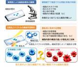 「【大阪工業大学】より高精度にがん細胞を見分ける原理を発見 ～がん細胞の診断を支援する新たな細胞診断技術～」の画像1