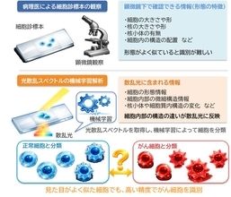 【大阪工業大学】より高精度にがん細胞を見分ける原理を発見 ～がん細胞の診断を支援する新たな細胞診断技術～