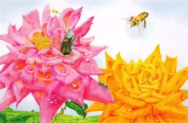 「熊田千佳慕の世界展－愛するからこそ美しい　奥田元宋・小由女美術館で開催」の画像