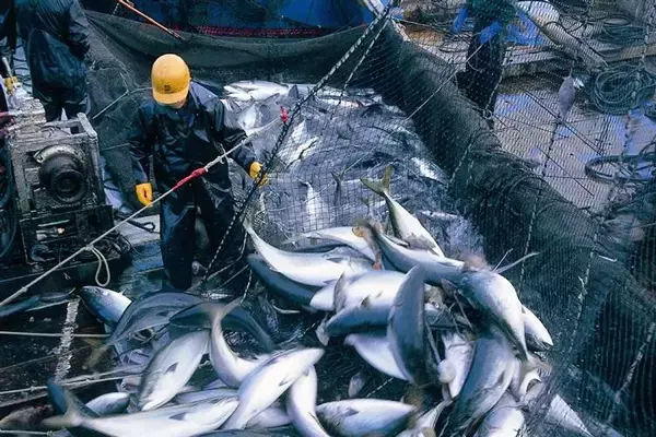 「寒ブリ尽くし×牡蠣尽くし冬の佐渡グルメ旅。海の恵みと漁師に出会う、1泊2日の特別体験へ。」の画像