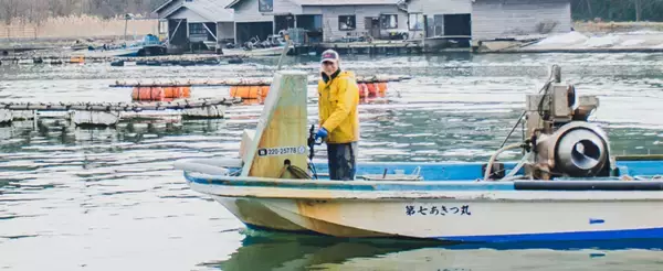 「寒ブリ尽くし×牡蠣尽くし冬の佐渡グルメ旅。海の恵みと漁師に出会う、1泊2日の特別体験へ。」の画像