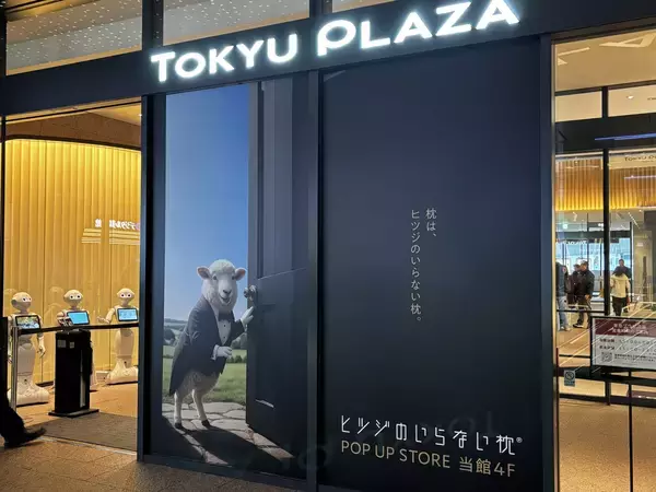 「「ヒツジのいらない枕」ブランド初のテレビCM11月27日（木）より放映開始関西・中京・福岡・広島でオンエア」の画像