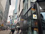 「「ヒツジのいらない枕」ブランド初のテレビCM11月27日（木）より放映開始関西・中京・福岡・広島でオンエア」の画像11