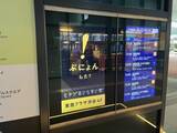 「「ヒツジのいらない枕」ブランド初のテレビCM11月27日（木）より放映開始関西・中京・福岡・広島でオンエア」の画像13