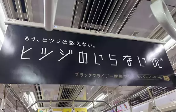 「「ヒツジのいらない枕」ブランド初のテレビCM11月27日（木）より放映開始関西・中京・福岡・広島でオンエア」の画像