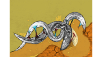 【名古屋大学】遺伝子からの老化指令～線虫の行動はプログラムにより積極的に老化する？～