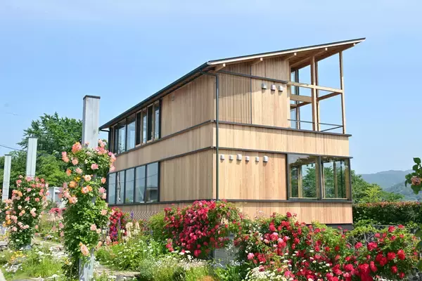 「【京都水族館】国の天然記念物を知る期間限定展示「アユモドキ、はじめました！」4月14日（火）開始」の画像