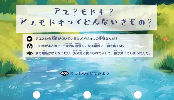 「【京都水族館】国の天然記念物を知る期間限定展示「アユモドキ、はじめました！」4月14日（火）開始」の画像