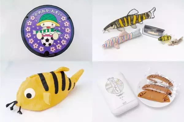 「【京都水族館】国の天然記念物を知る期間限定展示「アユモドキ、はじめました！」4月14日（火）開始」の画像