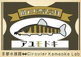 「【京都水族館】国の天然記念物を知る期間限定展示「アユモドキ、はじめました！」4月14日（火）開始」の画像9