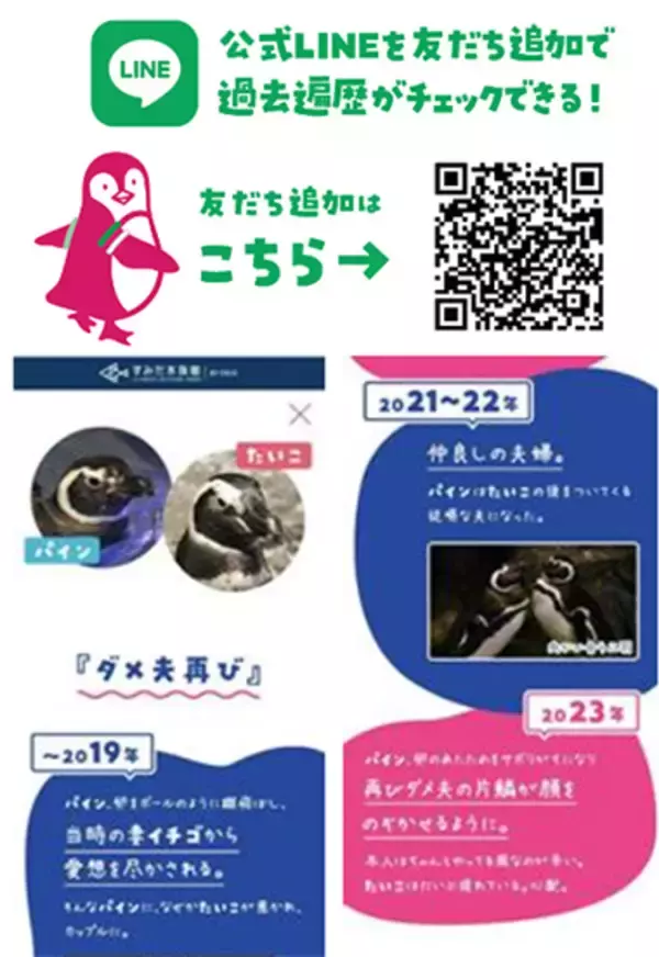 「【すみだ水族館】個性あふれる関係性を今年もアップデート！「すみだペンギン相関図2023」公開スタート」の画像