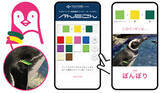 「【すみだ水族館】個性あふれる関係性を今年もアップデート！「すみだペンギン相関図2023」公開スタート」の画像5