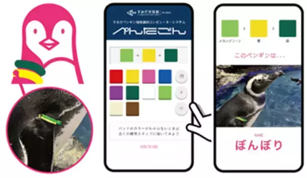 「【すみだ水族館】個性あふれる関係性を今年もアップデート！「すみだペンギン相関図2023」公開スタート」の画像