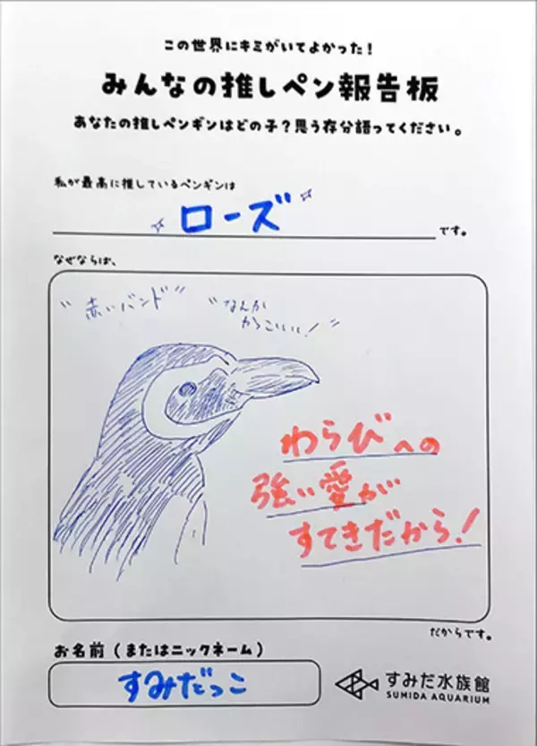 「【すみだ水族館】個性あふれる関係性を今年もアップデート！「すみだペンギン相関図2023」公開スタート」の画像