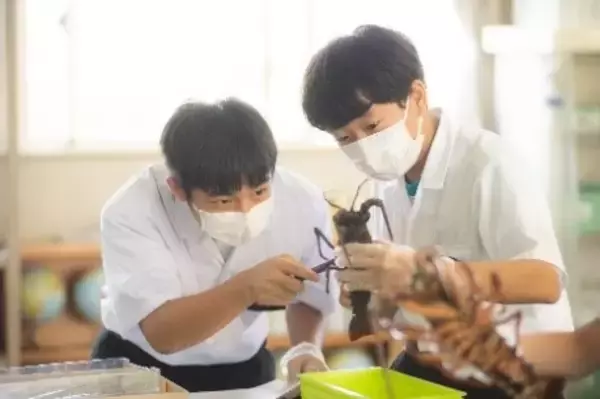 ソニー教育財団 2021 年度「教育・保育実践論文」「教育実践計画」受賞・入選発表 教育助成金とソニー製品を贈呈