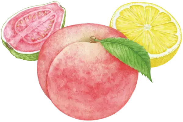 「累計販売数100万個突破！ワンハンドで食べる冷凍フルーツ「アヲハタ まるかじゅり」シリーズ全5品のパッケージを刷新」の画像