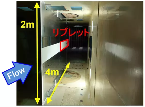 「世界初、塗膜にリブレット形状を施工した航空機で飛行実証試験を実施」の画像