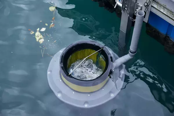 親子で参加！ブルーカーボン体験ツアーを開催いたします