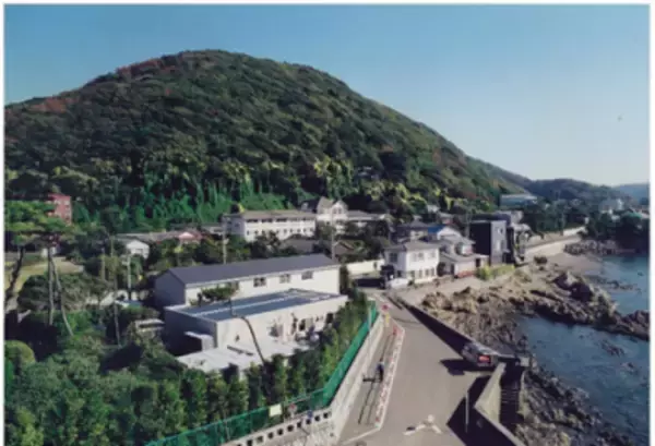 「親子で参加！ブルーカーボン体験ツアーを開催いたします」の画像