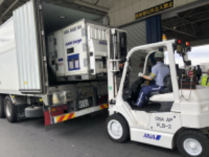 ANAとナッシュの新たな協働により冷凍食品の空輸体制の最適化とコストダウンを実現