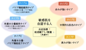 敏感肌には多様な肌状態が存在することを明らかに　角層の炎症状態・アミノ酸量・肌色特性の解析から、複数の敏感肌タイプの存在を確認